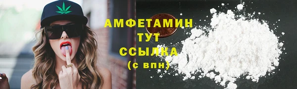 сатива Баксан