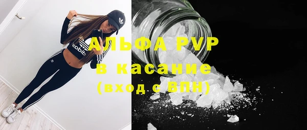 сатива Баксан