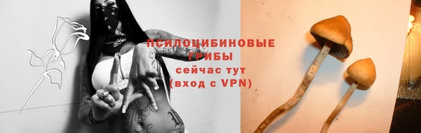 шишки Армянск
