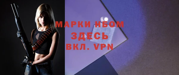 шишки Армянск