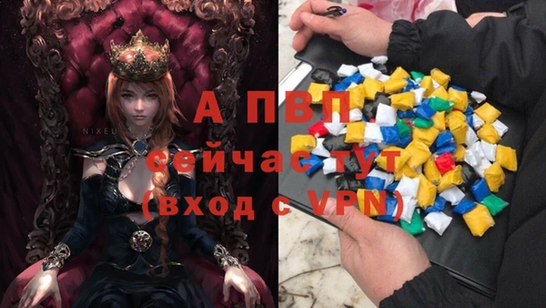 шишки Армянск