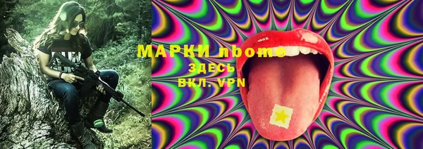 сатива Баксан
