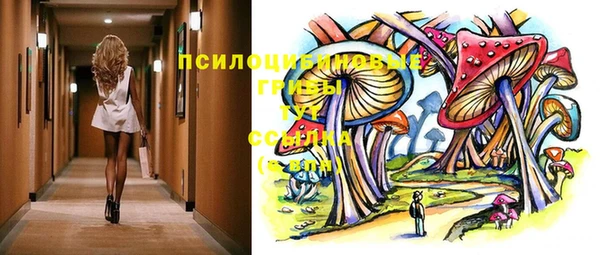 дмт Арсеньев